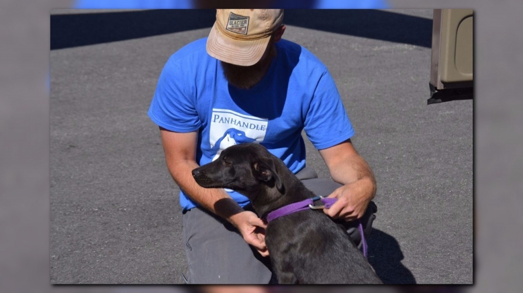 Panhandle Animal Shelter