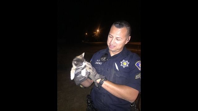 Police rescue trapped kitten with burrito