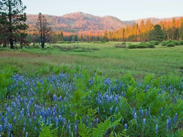 Yosemite National Park just expanded by hundreds of acres