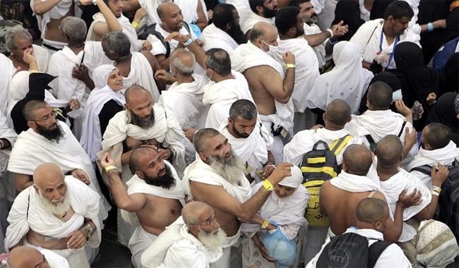 Many Lebanese Shiites rejected Hezbollah's support of Iran's Hajj policy, says MP Wehbi