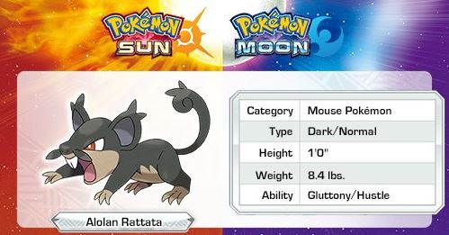 Rattata