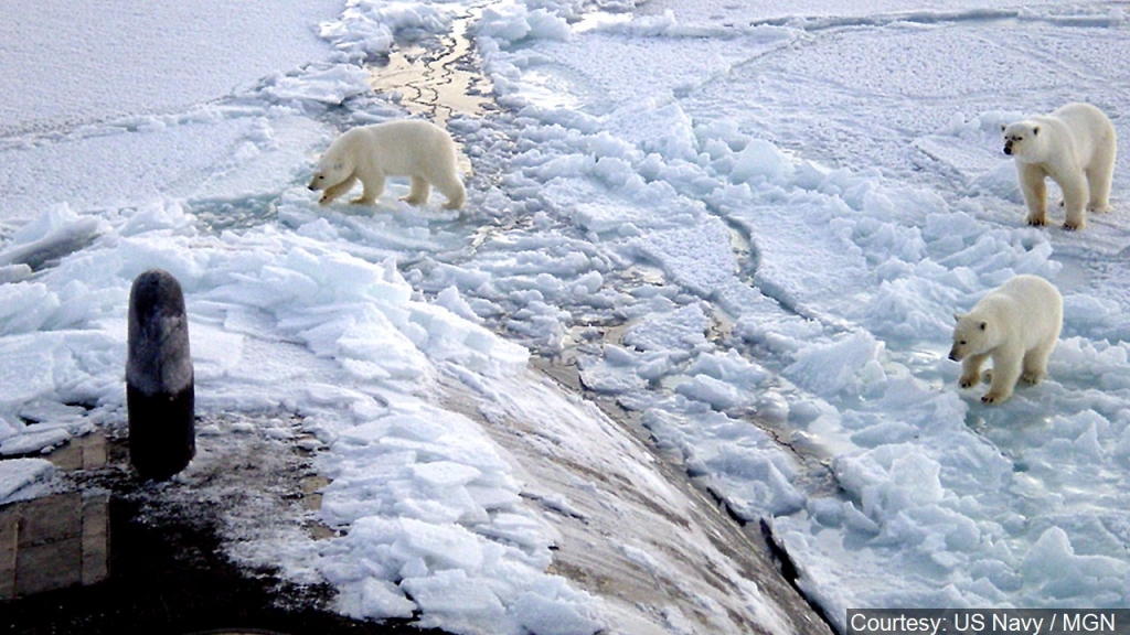 Russian Scientists Trapped by Polar Bears in the Artic