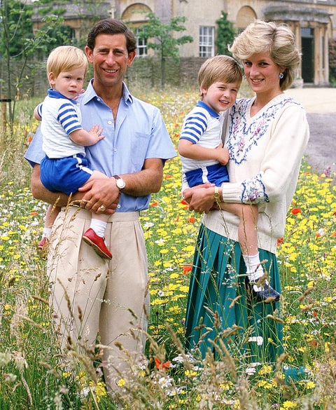 Prince Charles Prince Harry Prince William Princess Diana