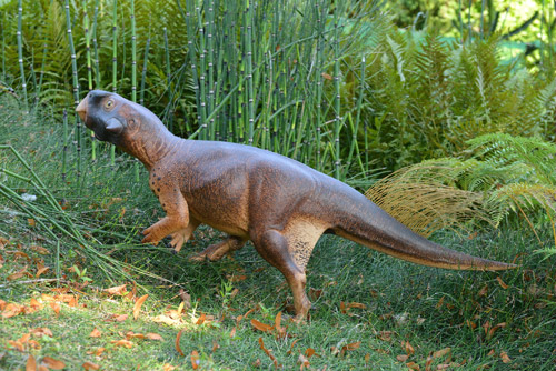 Psittacosaurus frolics in the Bristol Botanic Garden