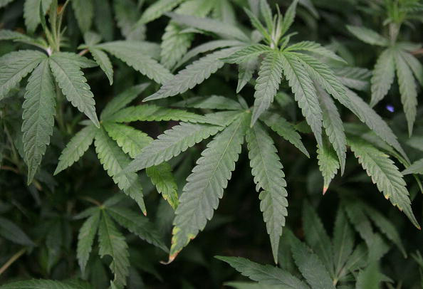 Medical marijuana becomes legal in Ohio Thursday