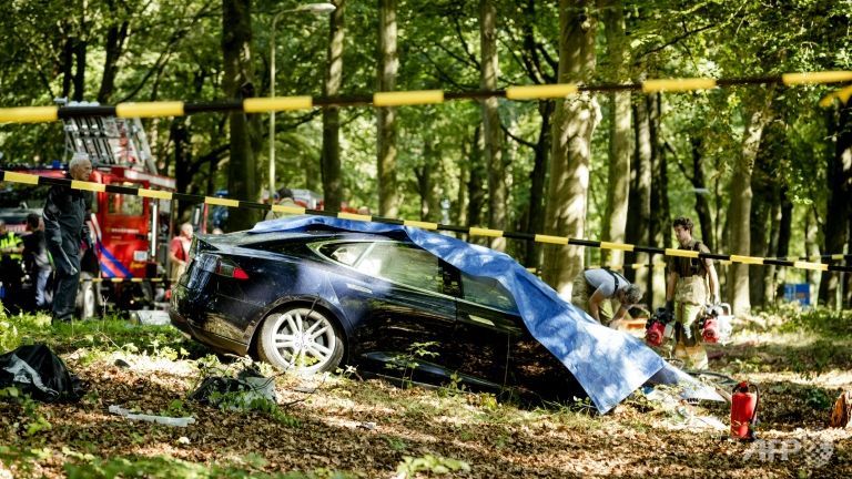 Rescue workers proceed with caution around the spot where a Tesla slammed into a tree in Baarn on Sep 7 2016