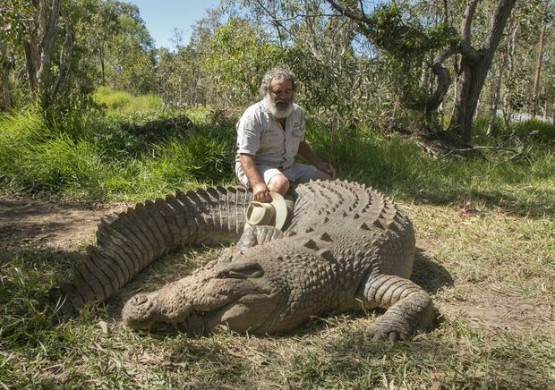 Reported crocodile attack near Proserpine leaves man seriously injured