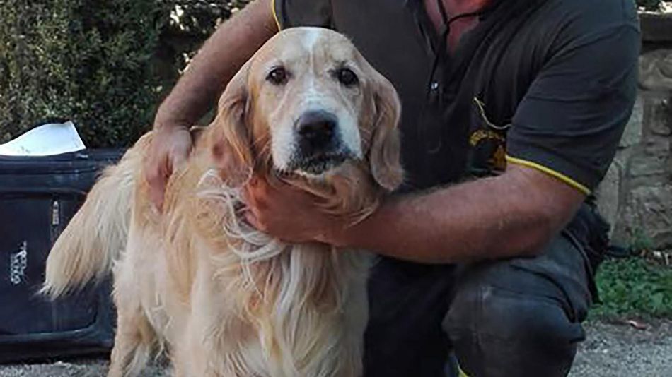 Romeo was pulled from rubble nine days after the quake