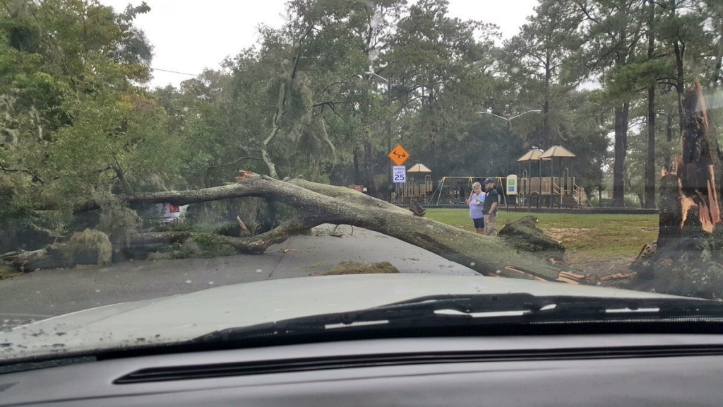 SCMPD @scmpd 1h1 hour ago
#SCMPDTraffic tree down at Skidaway & Berkshire #TropicalStormHermine