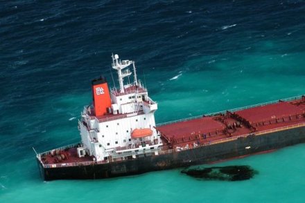 Shen Neng 1 ran aground in April 2010