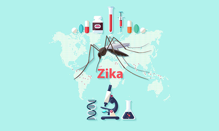 Aditi-Aug-2016-zika-virus-workplace-singapore-123rf