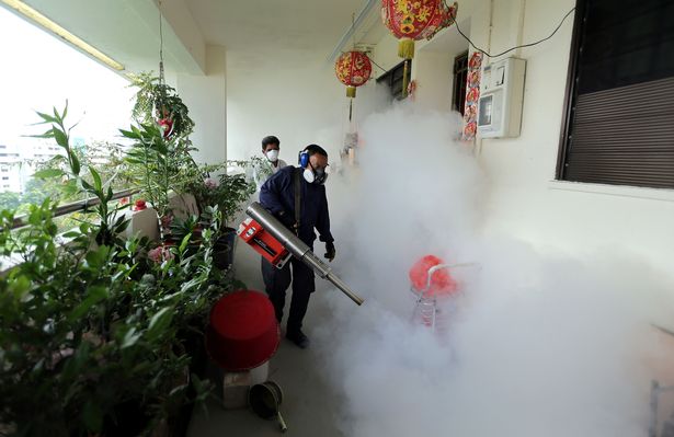 41 Zika Virus Cases Confirmed In Singapore