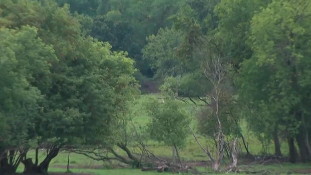 Sources say Danny Heinrich lead investigators to a forested area where Jacob Wetterling’s remains were finally found.               WCCO