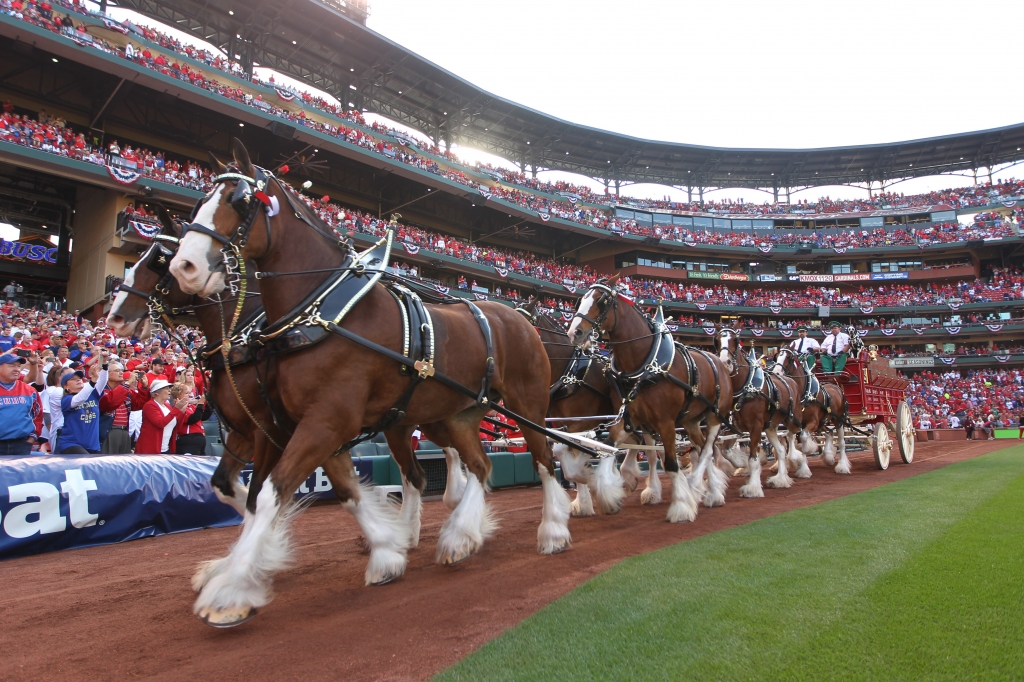 St. Louis Cardinals to open 2017 season at Busch Stadium