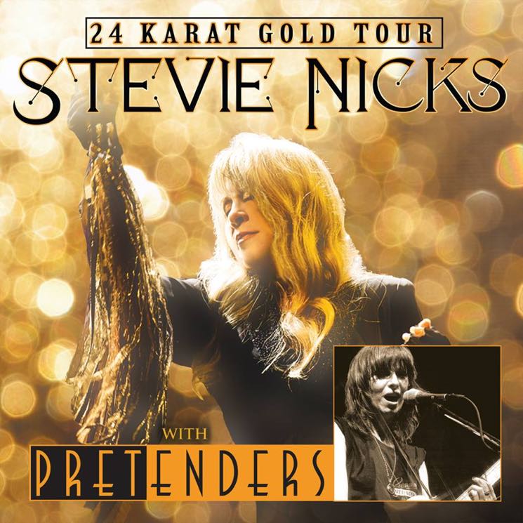 Stevie Nicks Maps Out'24 Karat Gold Tour with Pretenders