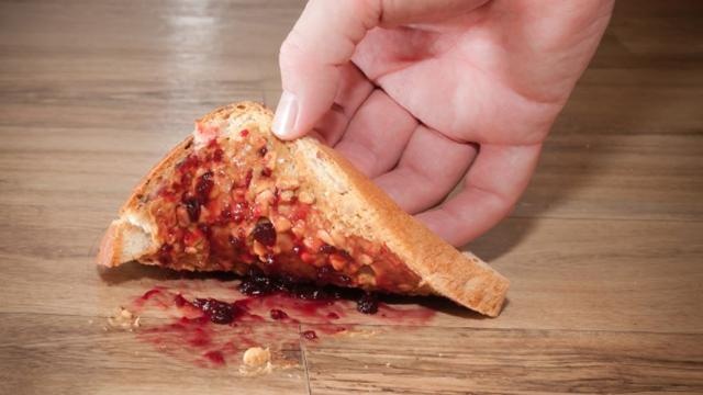 The Five-Second Rule Still Doesn't Work