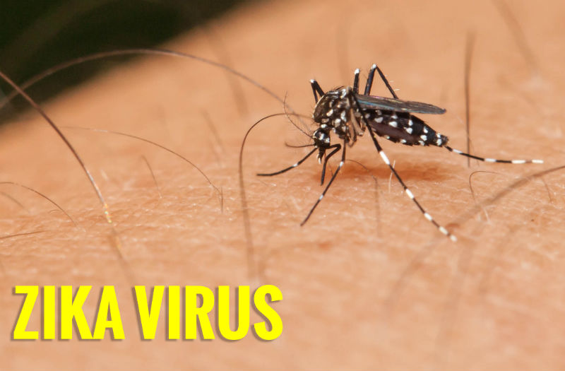 Zika virus vaccine under development and planning human trials by 2017