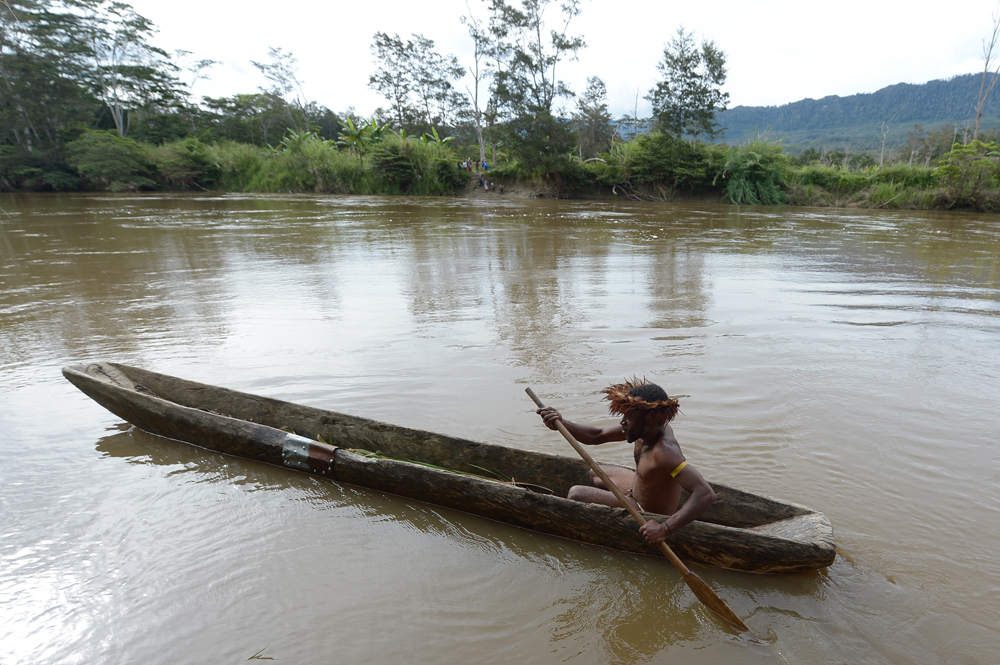 The 2 per cent of the modern-day Papua genome is the only remaining trace of this otherwise extinct lineage the researchers saidGETTY IMAGES