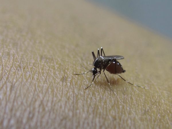 There are now a total of 8 recorded Zika cases in the Philippines