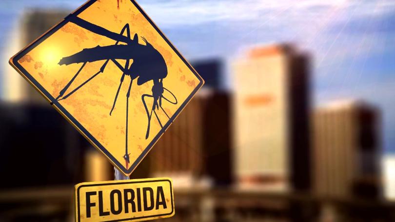 CDC: Aerial spraying, naled helped curb Zika in Miami