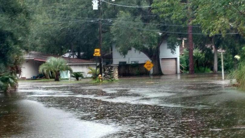 Hurricane warning for Florida after tropical storm Hermine gains strength