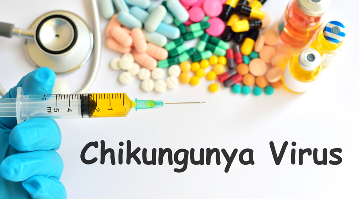 Chikungunya cases spike, one dead