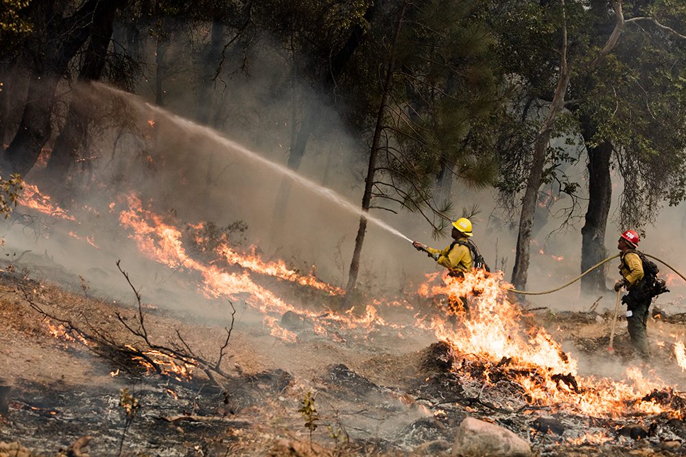 Fire fighters spray down trees close to the control line north of Arroyo Seco