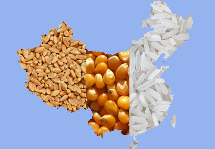 China's grains- wheat corn rice