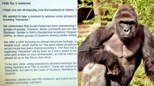 University bans white students from Harambe jokes because ‘they’re racist