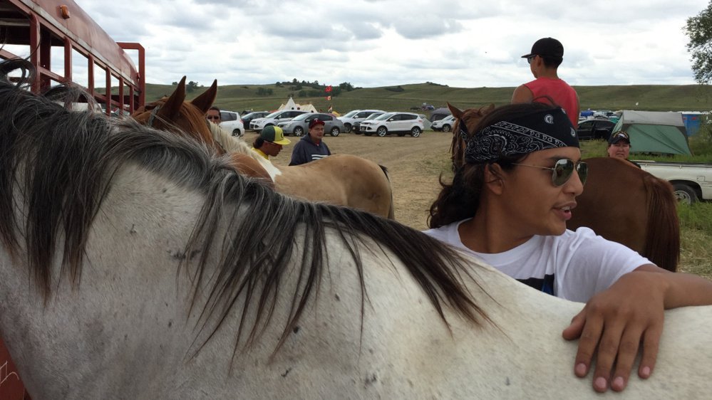 Tech Big Crow 18 cares for one of the horses brought to the protest site. Environmental allies have stepped up to offer legal advice write President Obama and march in Washington