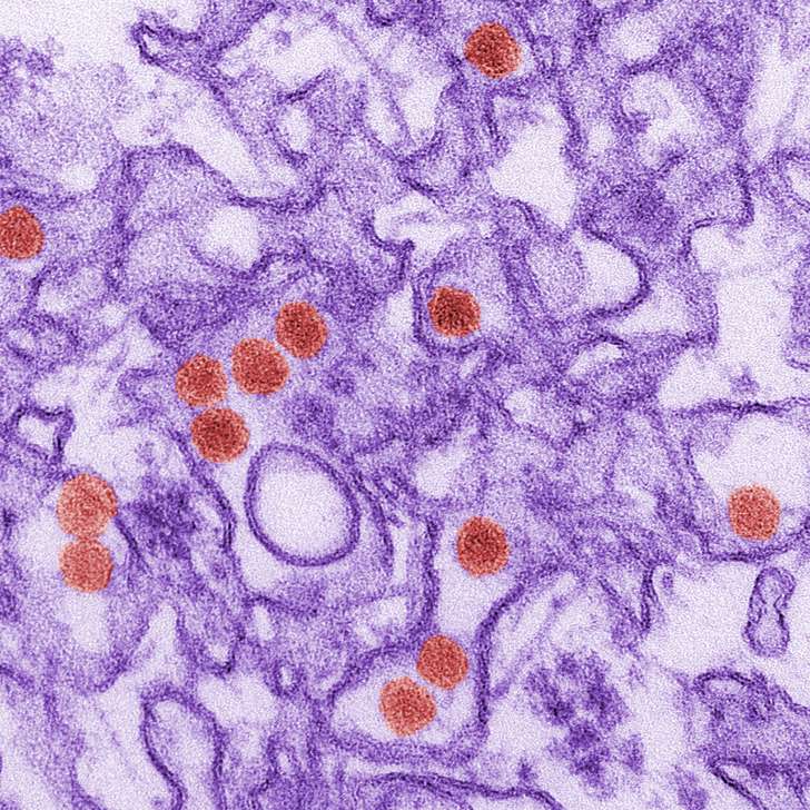 FDA advises Zika screening for all US blood centers