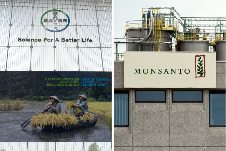 German firm Bayer says it will raise its offer to buy the US seed giant Monsanto to $127.50 per share from $125More