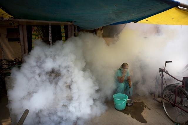 Crisis in Delhi over outbreak of dengue and chikungunya