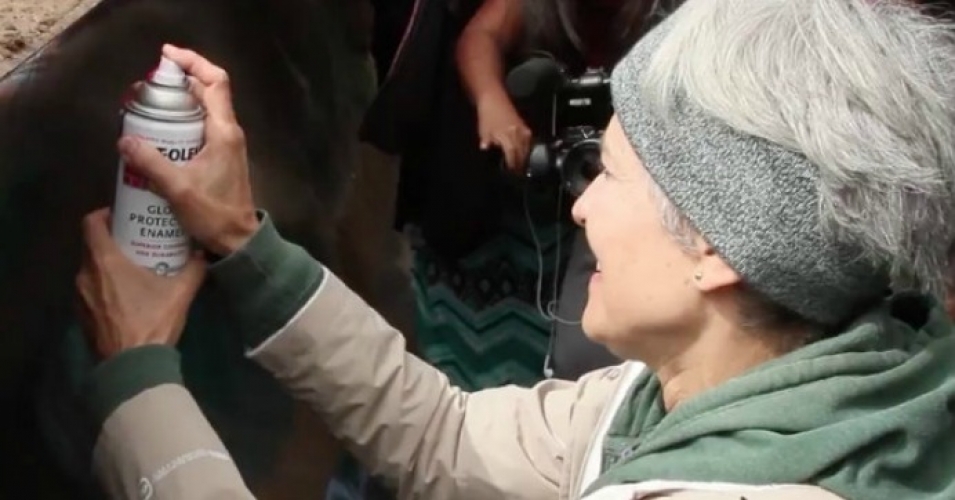 Presidential Candidate Jill Stein to Face Criminal Charges