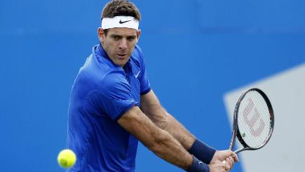 Juan Martin Del Potro is into the US Open quarter-finals