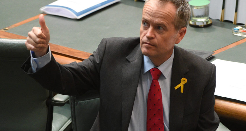 Bill Shorten during Question Time this week