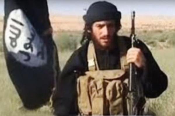 Isis leader killed in targeted air strike