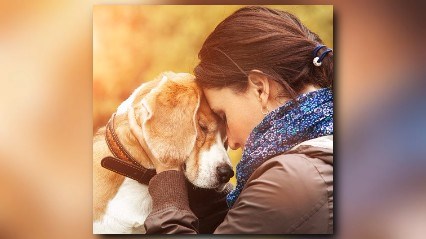 Woman with her dog tender scene