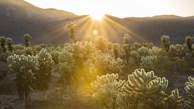 National Park Service Celebrates 100th Birthday