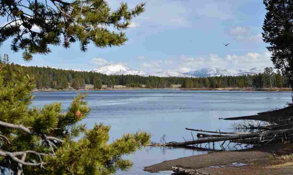 Water-based recreation is being banned along much of the Yellowstone River to help limit the spread of a parasite that appears to be killing fish