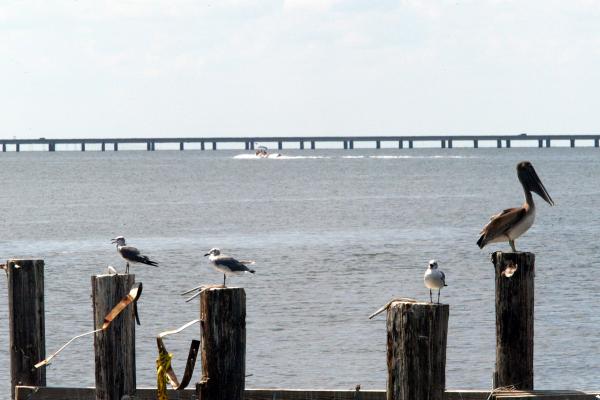 2 missing after plane crashes in Lake Pontchartrain