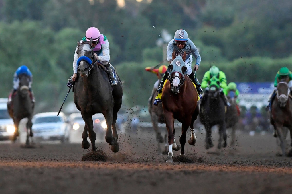 Arrogate polishes off 'Chrome' in Breeders' Cup Classic | Bangkok Post: news