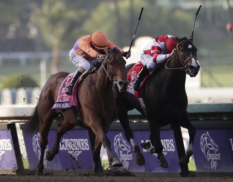 Beholder, Songbird, Stellar Wind among Breeders' Cup leading ladies