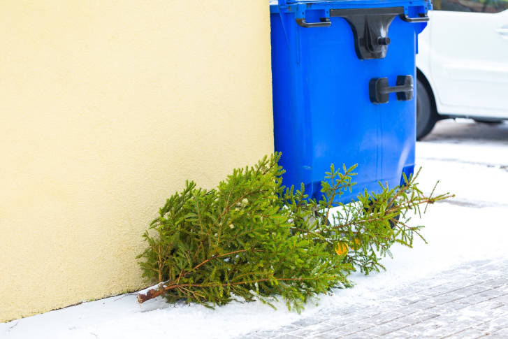 Christmas is over and it is time to dispose of that tree inside the house