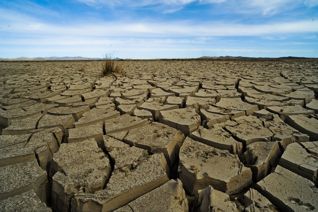 The'dzud phenomenon in Mongolia is a devastating combination of a severe summer drought and extremely harsh winter. It has been occurring with increased frequency and severity in recent years