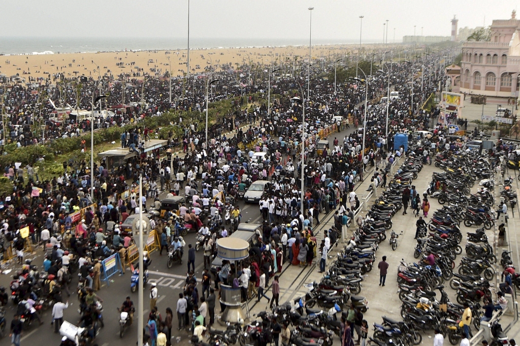 Chennai Youngsters and students participate in a protest to lift the ban on Jallikattu and impose ban on PETA at Kamarajar Salai Marina Beach in Chennai on Thursday. PTI