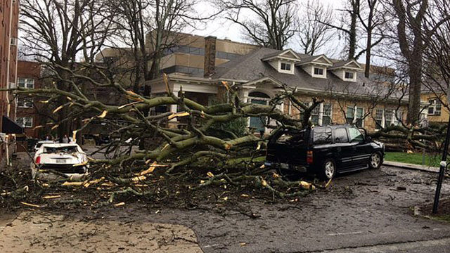 More severe weather expected in Alabama Georgia