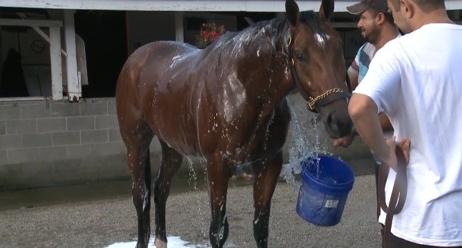 Trainer Todd Pletcher plays numbers game at Kentucky Derby