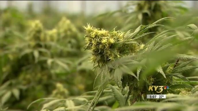 Patients Worried About Future Of Medical Marijuana