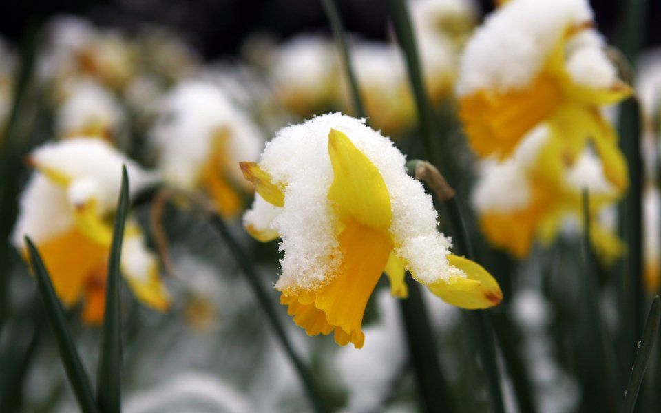 Snowy Easter Holidays In Parts Of Germany